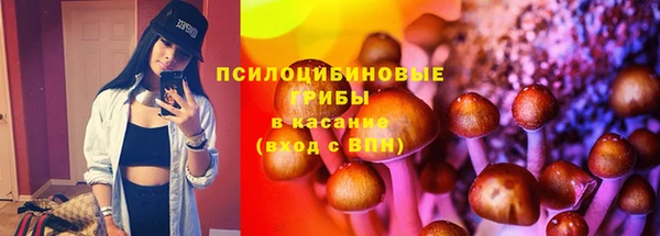 mix Каменка