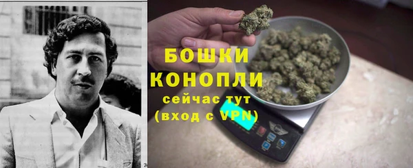 кристаллы Инта