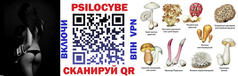 Псилоцибиновые грибы MAGIC MUSHROOMS  купить наркотики сайты  Казань 