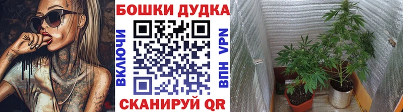 Марихуана семена  Казань 